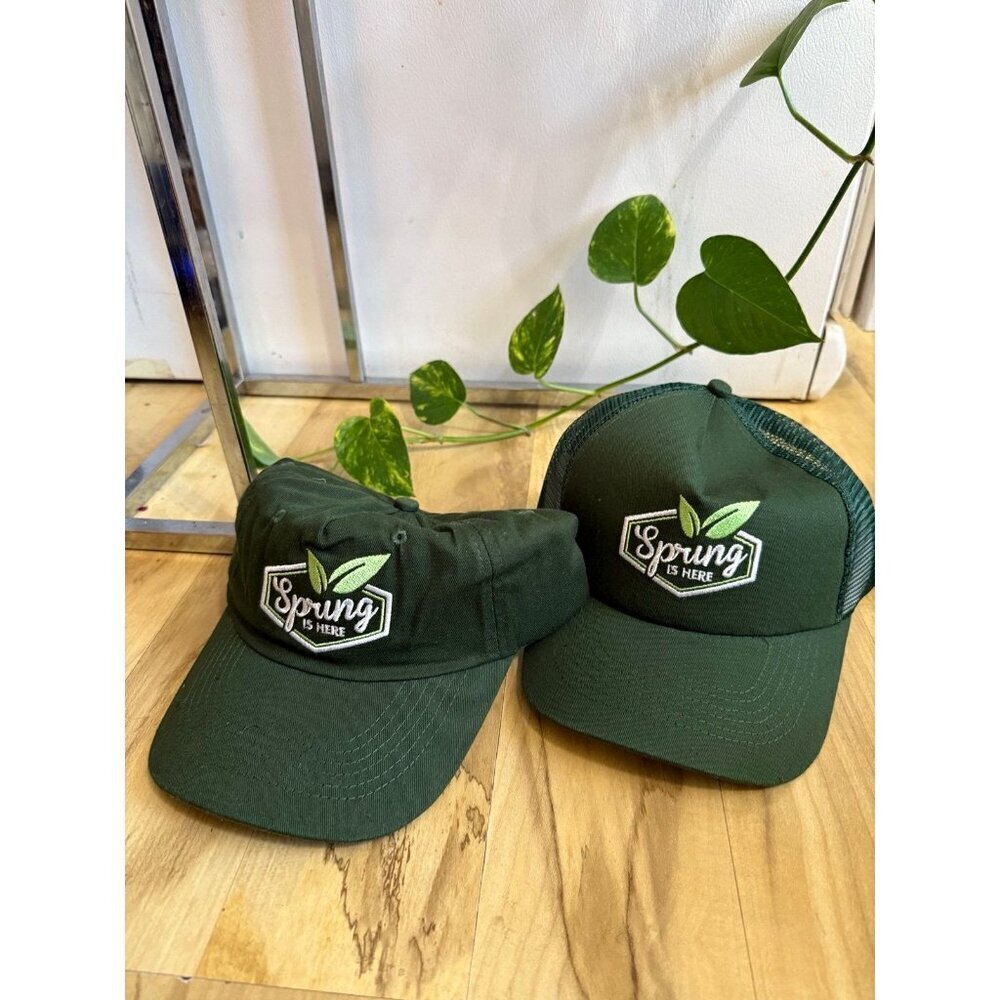 (2) SPRING is here hats